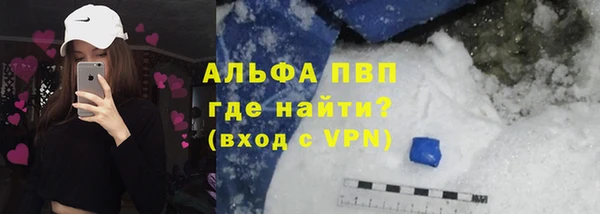 трава Белокуриха