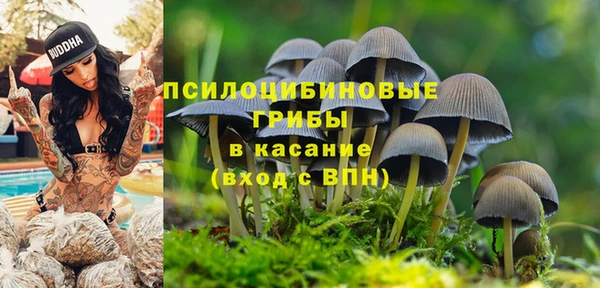 трава Белокуриха