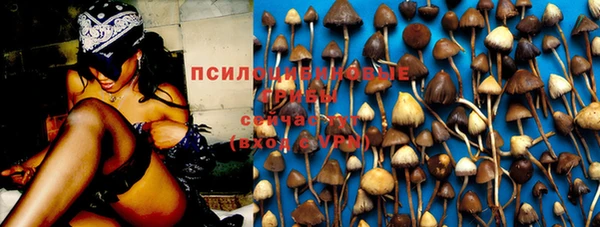apvp Белоозёрский