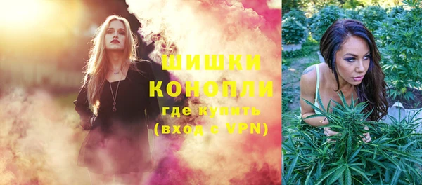 трава Белокуриха