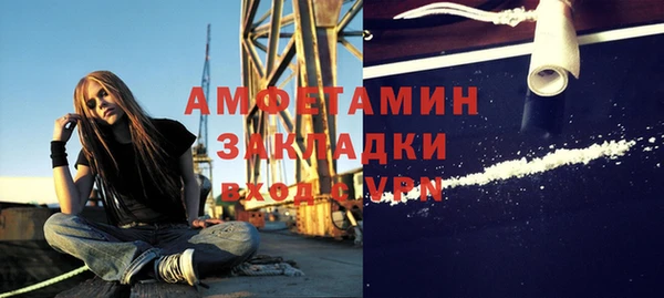 трава Белокуриха