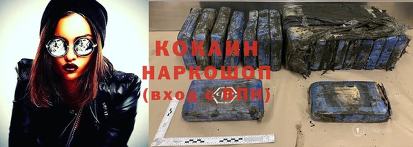 трава Белокуриха