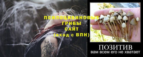 apvp Белоозёрский