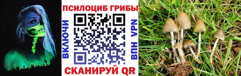 Галлюциногенные грибы GOLDEN TEACHER Новосибирск